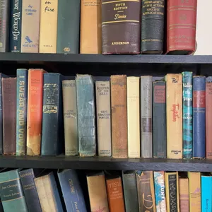 Books: Novels, Reference, Non-Fiction