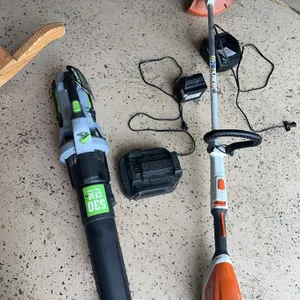 Cordless blower and cordless Weed whacker
