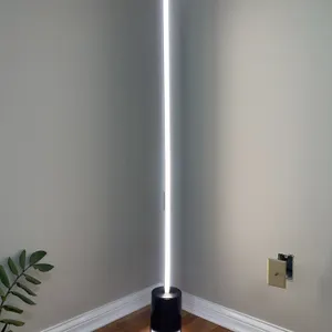 Very unusual modern floor lamp