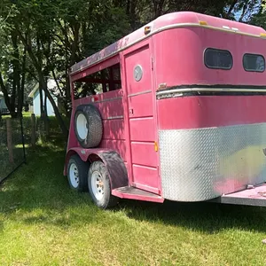 1995 4 BAR 10' T/A 2 HORSE TRAILER - SET UP FOR SMALLER PONIES