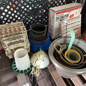 EGG INCUBATOR