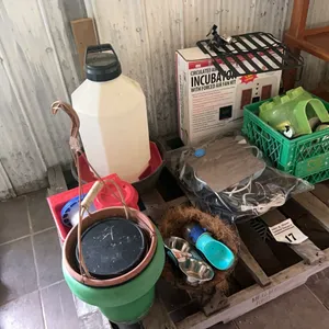 EGG INCUBATOR