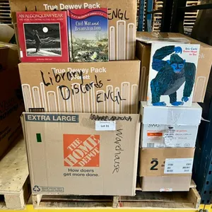 Discarded Elementary Library Books