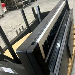 Roland Electric Piano