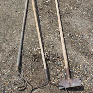 Assorted hand tools- rakes, scraper