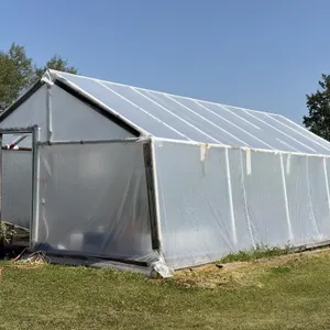 Green House - 16Ft x 30Ft
