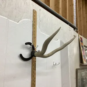 ANTLER HAT RACK W/ HORSEHOE BASE