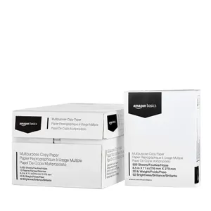 Amazon Basics Copy Paper 8.5x11 10 Reams