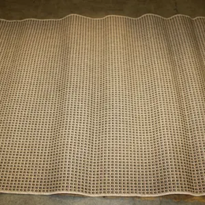 Black & Tan Area Rug