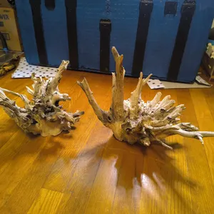 Driftwood Stump Decorations Lot
