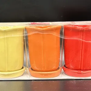 Ceramic Flower Pot Set with Saucers (3 Pieces)