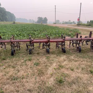 International Row cultivator
