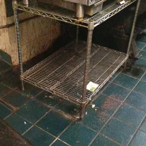 2 tier Metro rack  ( no other contents included)