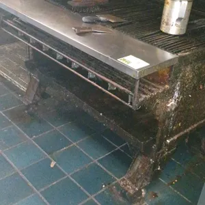 Bakers Pride gass grill 44"x36" (no other content included )