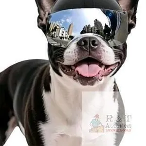 New Small-Size Dog Motorcycle Helmet With Mirrored Visor, Padded Inside, Ear Holes & Chin Strap