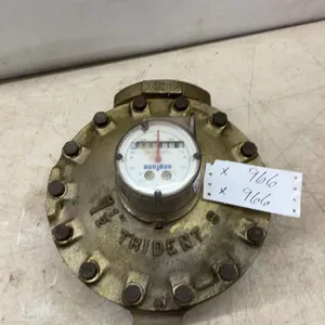 Neptune Trident Water Meter, 1-1/2" Flanged, Gallons