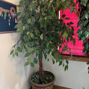 Potted Artificial Silk Plant with Green Foliage