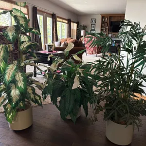 Three Artificial Potted Plants