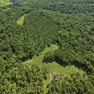 Tract 4 104.23 acres