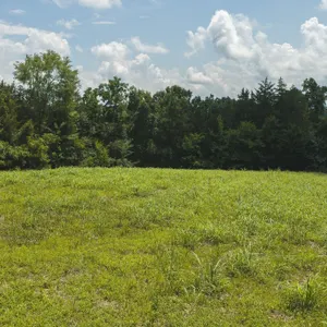 114.44 Acres South Mohawk Road Midway, TN 37809