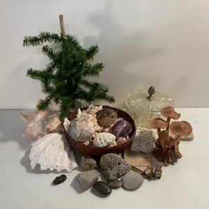 Assorted Glass, Seashells & Nature-Inspired Collectibles