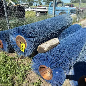 (3) Sweeper Brushes