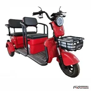 2026 MCGC40 Electric Tricycle
 UNRESERVED