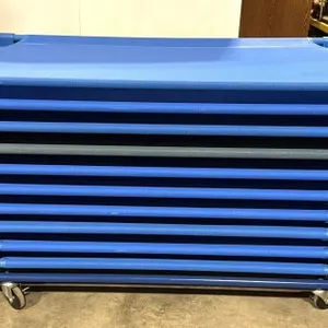 (10) Lakeshore Nap Cots with Cart 
- cots are