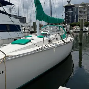 Sailboat Auction — Four Vessels, One Marina Online Auction