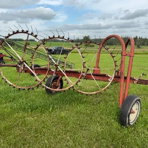 International 30 Side Delivery Rake (Has 3 w Needs 2 More)