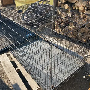 Large Dog Kennel