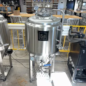 SS Brewtech 304 Fermenter
