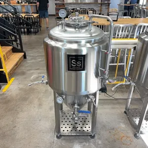 SS Brewtech 304 Fermenter