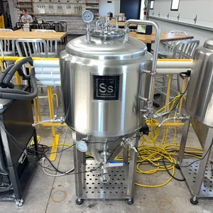 SS Brewtech 304 Fermenter