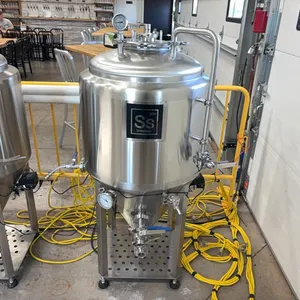 SS Brewtech 304 Fermenter