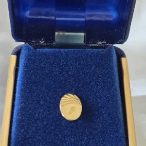 10k gold pin