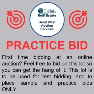 First time bidding at an online auction?