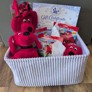 Zoomies Pet Bundle
