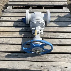 2023 Meridian 3 Inch Valve