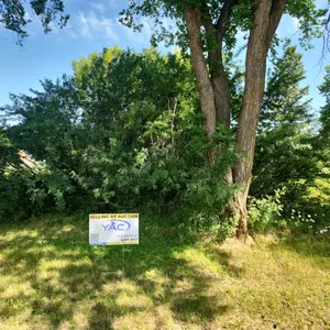 415 Alberta Street
