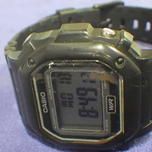 Casio 3224 Watch