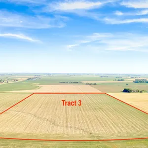 Tract 3: 79.88+/- Acres –CSR2–97.7