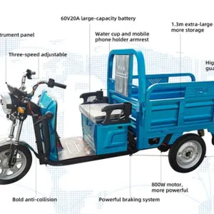 Electric Tricycle
