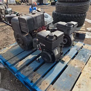 (4) Assorted Small Gas Engines
 UNRESERVED
