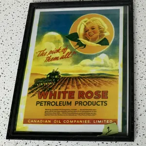 White Rose Framed Advertisement