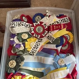 Tote with horse show ribbons