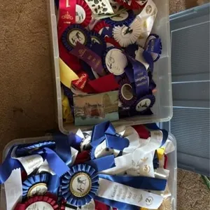 Two bins with assorted horse show ribbons
