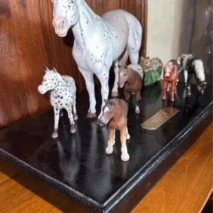 SPOCK foaled and died plaque