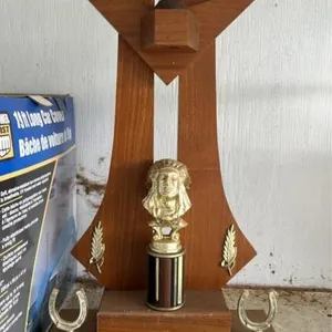 High point Appaloosa costume trophy