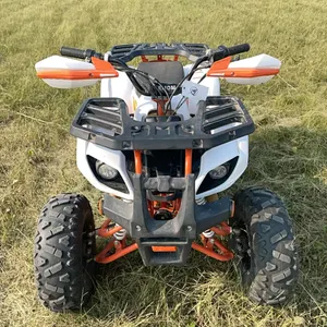 Electric Mini Quad